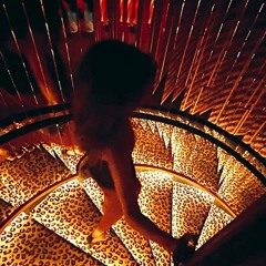 Noches de Calor