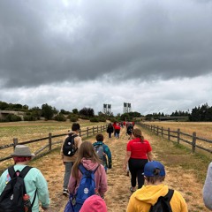 Reciprocity in Education