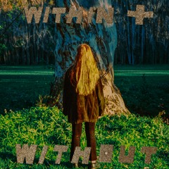 WITHIN + WITHOUT