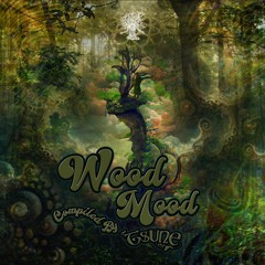 Living Frequencies - Clear Vision (VA-Wood Mood)