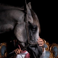 وانتظريني  مفتاح امعيلف