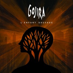 Gojira - Born In Winter (Instrumental cover)