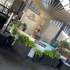 Ukraine Birthday Set 2023 (Live mix)