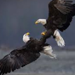 " 11:11-EAGLES DANCE"--( Ft. Ki Earth Spirit)--LIVE RAW * VERSION