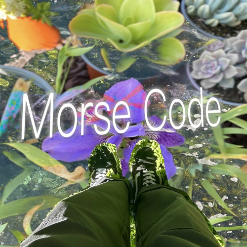morse code flip (illegal lil ket bootleg)
