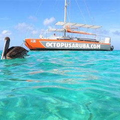 Review Special Price Premium Catamaran Morning Sail Snorkeling Mimosas And Brunch