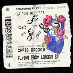 Chris Brooks - Flying From London (Original Mix)