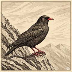 The Red-Beaked Watcher