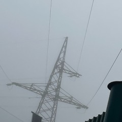 Noone came to my bday party