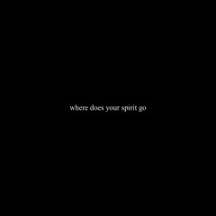 where does your spirit go? (remix)