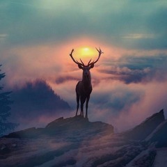 Sicut Cervus (2018)