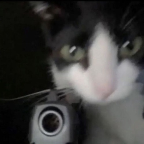 yns. @Mo x @scooter #jerseyclub