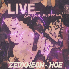 ZEDXNE0N-H0E (prodkayg)