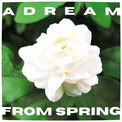 Stedding's Dream From Spring [downtempo mix]