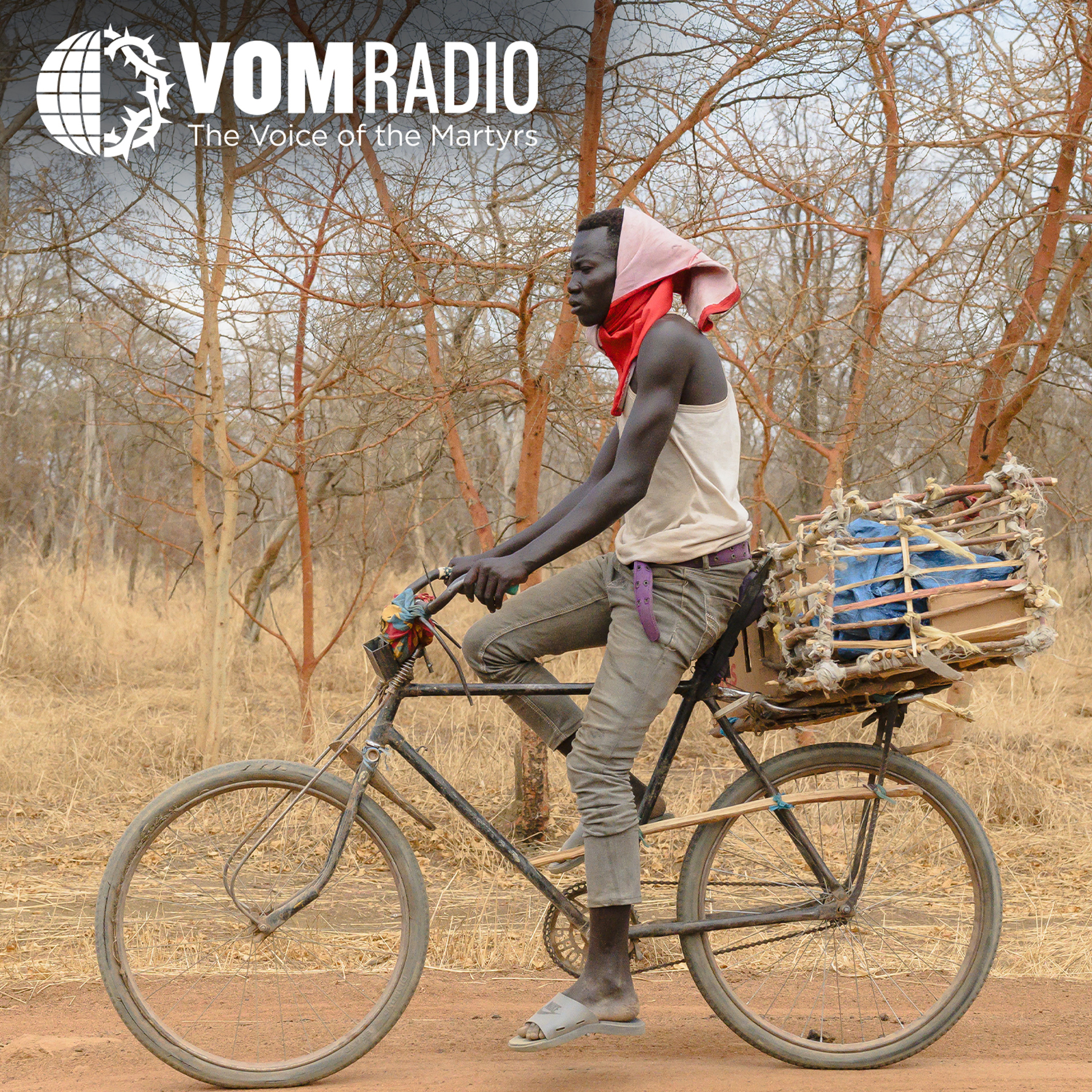 AFRICA: Bibles, Partnerships and Equipping the Next Generation For Gospel Work episode artwork
