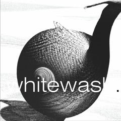 whitewash. (feat. Kliensman)