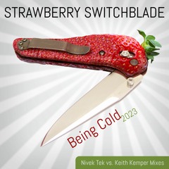 Strawberry Switchblade- Being Cold (Nivek Tek Vs. Keith Kemper Funked Up 2023 Remix)