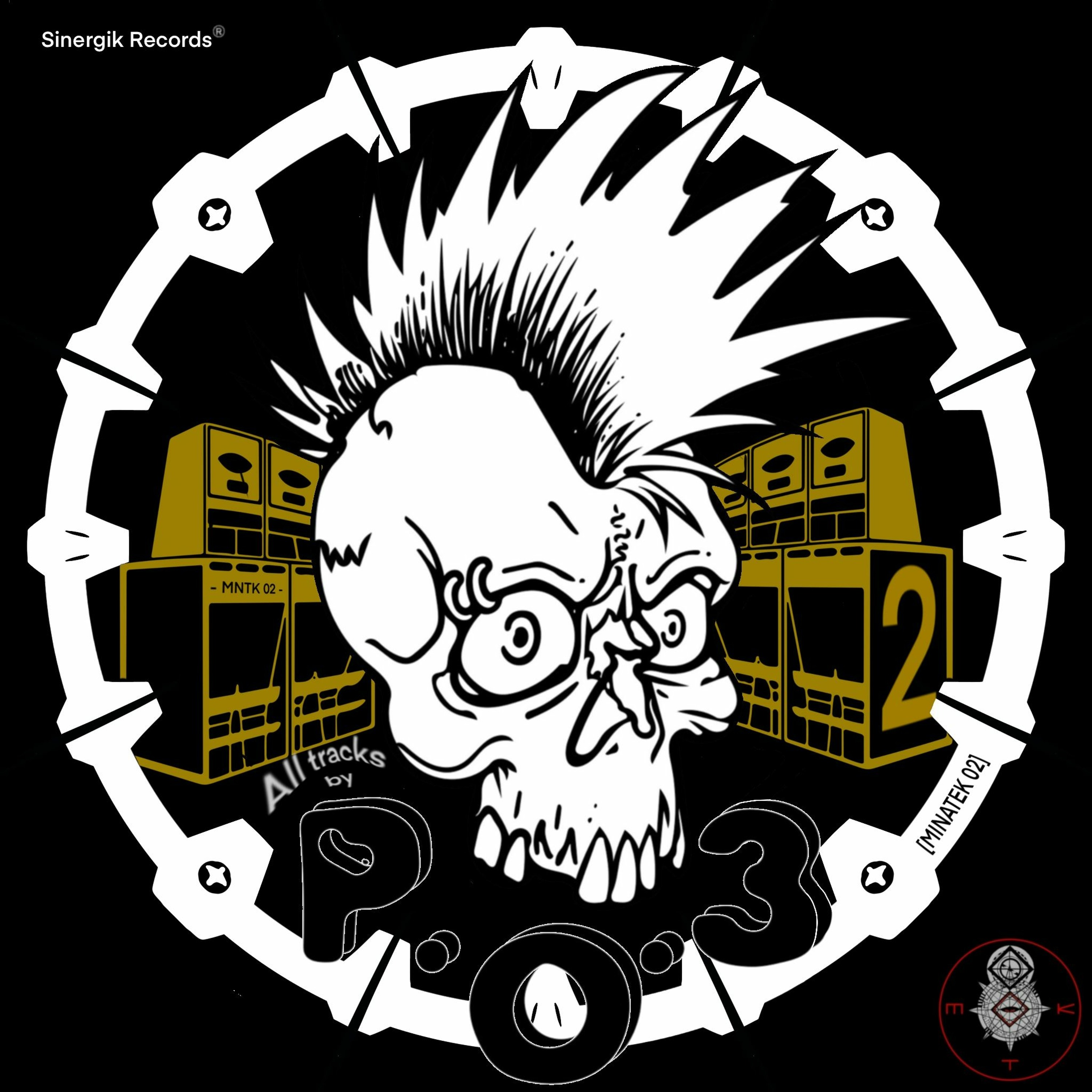 SINERGIK RECORDS ²³