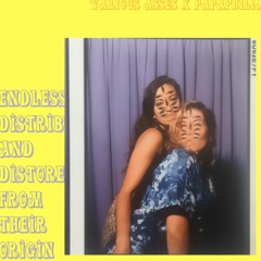 VARIOUS ASSES X PAPAPHILIA - ENDLESS COPIES REMIX