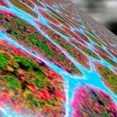 acid we love you
