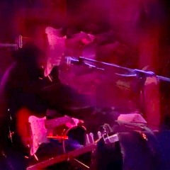 Jardin d'Intérieur Chez Pont-Levis : Sereidila (Live) (15.12.24)