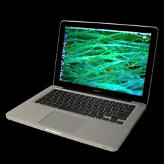 windwaker x greyfox  ~ ｃａｖｅｒｎｓ ｡