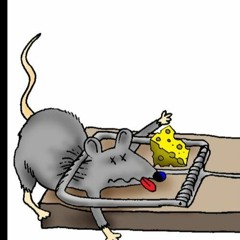 Heavy -  Smalle Rat (Diss)