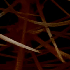 playground in the darkness.