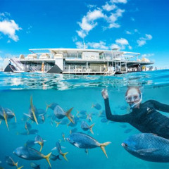 Best 2 Day Great Barrier Reef Reefsuites Experience Tours Review
