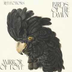 Birds of the dawn