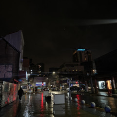 FREESTYLE EXTASIS RMX