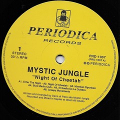 PRD1007 • Mystic Jungle - "Night Of Cheetah"