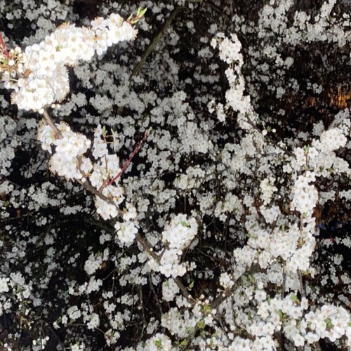 fall asleep in the bando (ft. purple b)