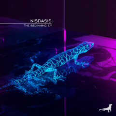 Nisdasis - Action (Original Mix)