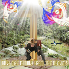 They Are Coming From the Heavens