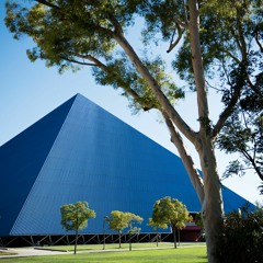 How the COVID-19 pandemic has changed one Long Beach local's employment