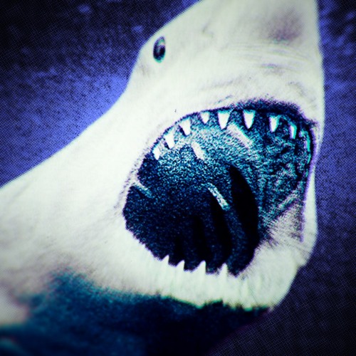 [FREE] "Great White Shark" - 21 Savage x Gunna Type Beat *Melodic Trap*