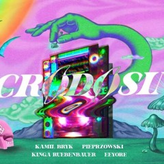 Kamil Bryk @ Microdosing #1