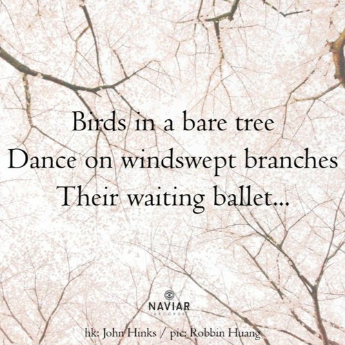 Birds In A Bare Tree  ( Naviarhaiku 476 )
