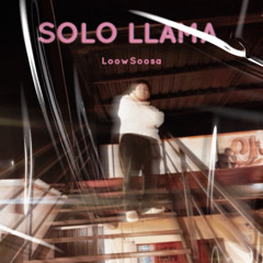 Solo Llama