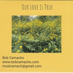 6. Please Don T Say You Don T Love Me Anymore