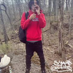 SmokeddUpp - BackDoor (p. xozeke & xolstfu) Hosted by STOOPID EXCLUSIVES