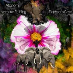 Atonom - Elephant's Cave