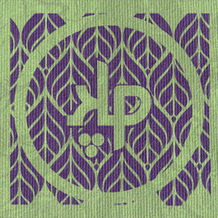 Kaya Project - When the Light Gets In (Liquid Bloom & Bloomurian ReVibe)