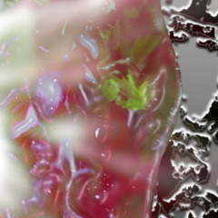 AY KALAMI [XTENDED TERROR]