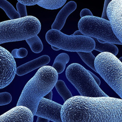 world of microorganisms