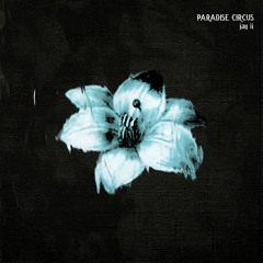 Paradise Circus (Massive Attack Cover)