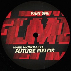 FLMB004 MARK NICHOLAS O. "FUTURE FIELDS LP"