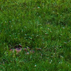 2022 [prod. malloy x daks9k]