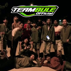 MIXTAPE SPECIAL TEAMBULE.OFFICIAL [GREG SAPPODARJA X DJ RIO]